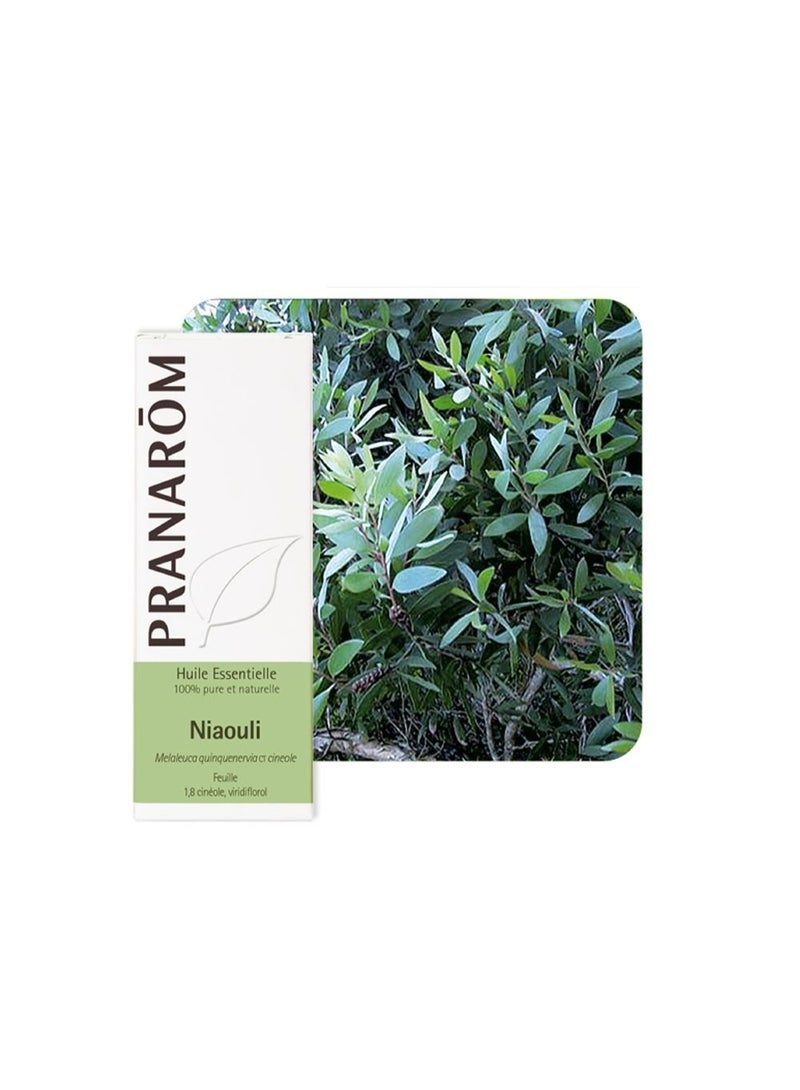 PRANAROM Pranarôm Bio Essential Oil Niaouli (Melaleuca quinquenervia CT cineole) 10 ml - Image 2